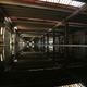 Illustration for article titled Abandoned Shipyard Halls Look Magical After Heavy Rain
